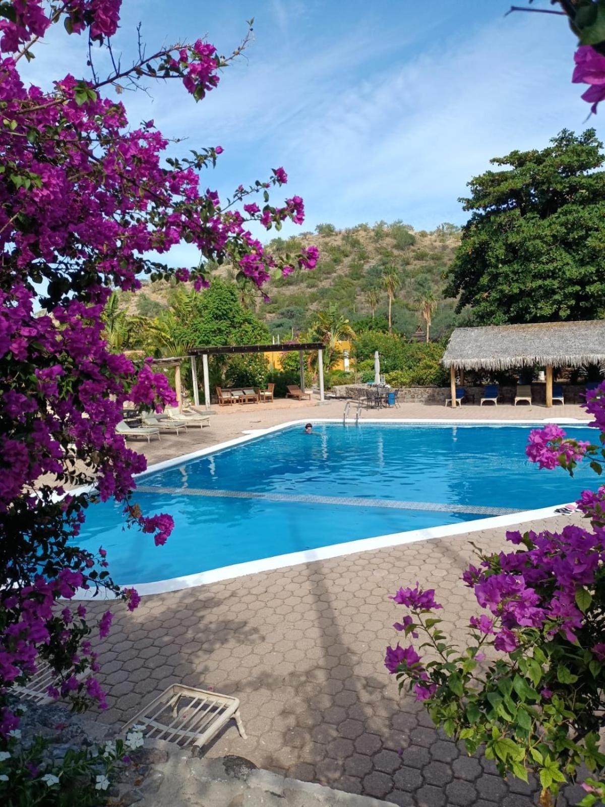 Tripui Hotel Puerto Escondido  Eksteriør bilde
